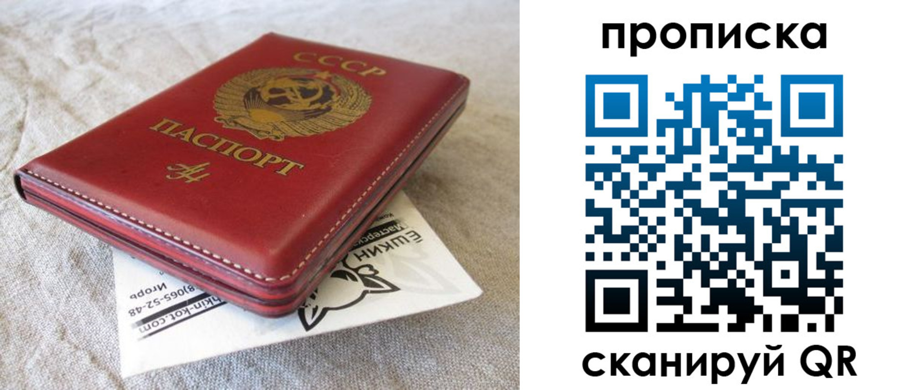 прописка для школы в Аркадаке